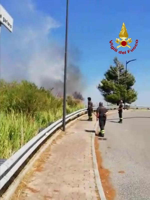 images Catanzaro. Incendio tra via Fares e via Gariano: fiamme vicino alle case 