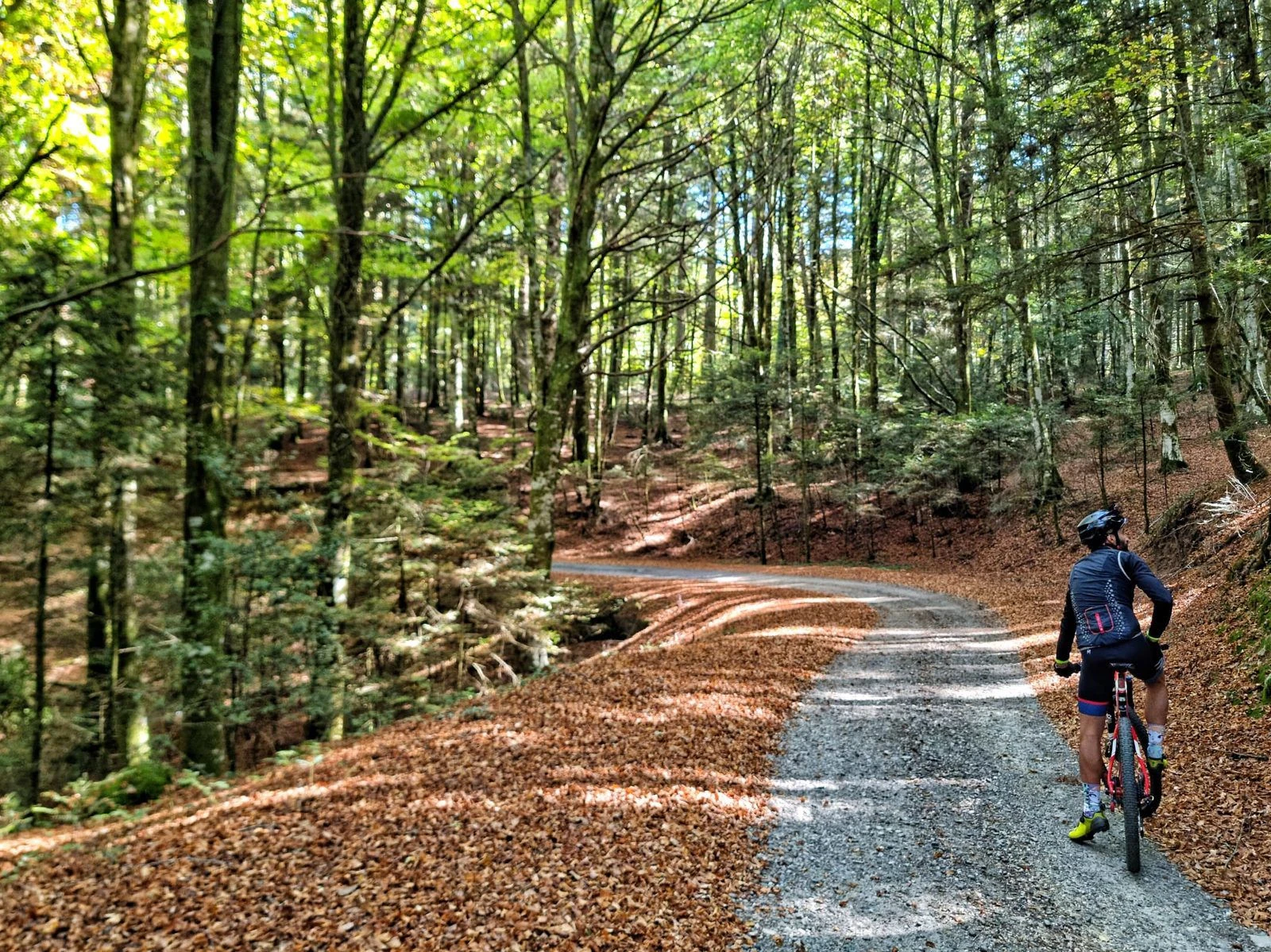 Dieci itinerari MTB per scoprire le Serre: il Parco crea una rete cicloturistica