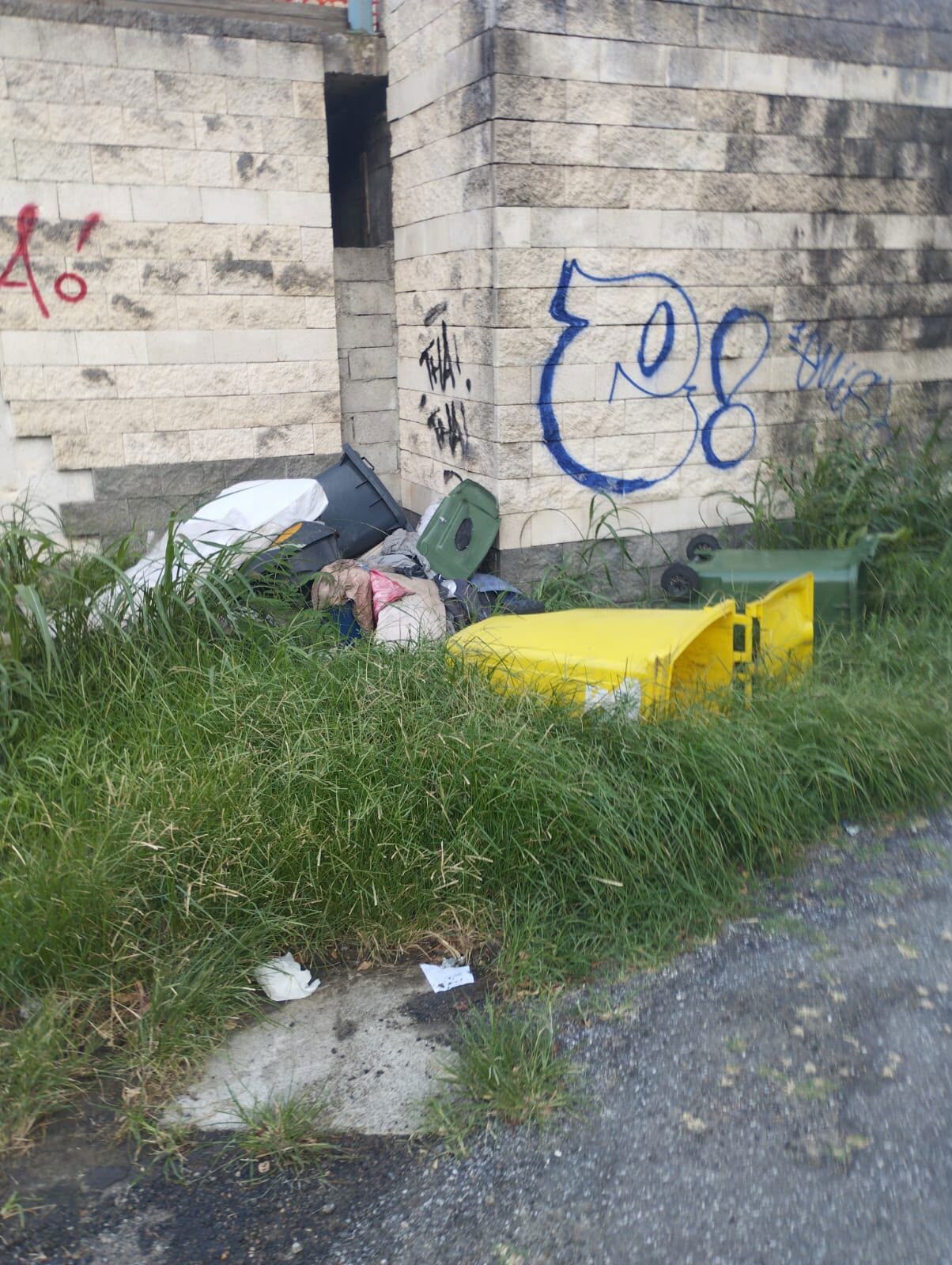 images Costanzo: “Catanzaro soffoca nel degrado, il Settore Igiene e Ambiente è immobile"