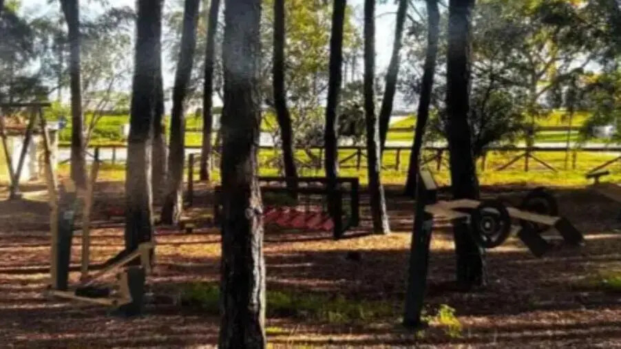 Area fitness a Giovino, Capellupo e Carpino: “Riccio sempre più “imbunnato”: un buon segno per Catanzaro” images Area fitness a Giovino, Capellupo e Carpino: “Riccio sempre più “imbunnato”: un buon segno per Catanzaro”