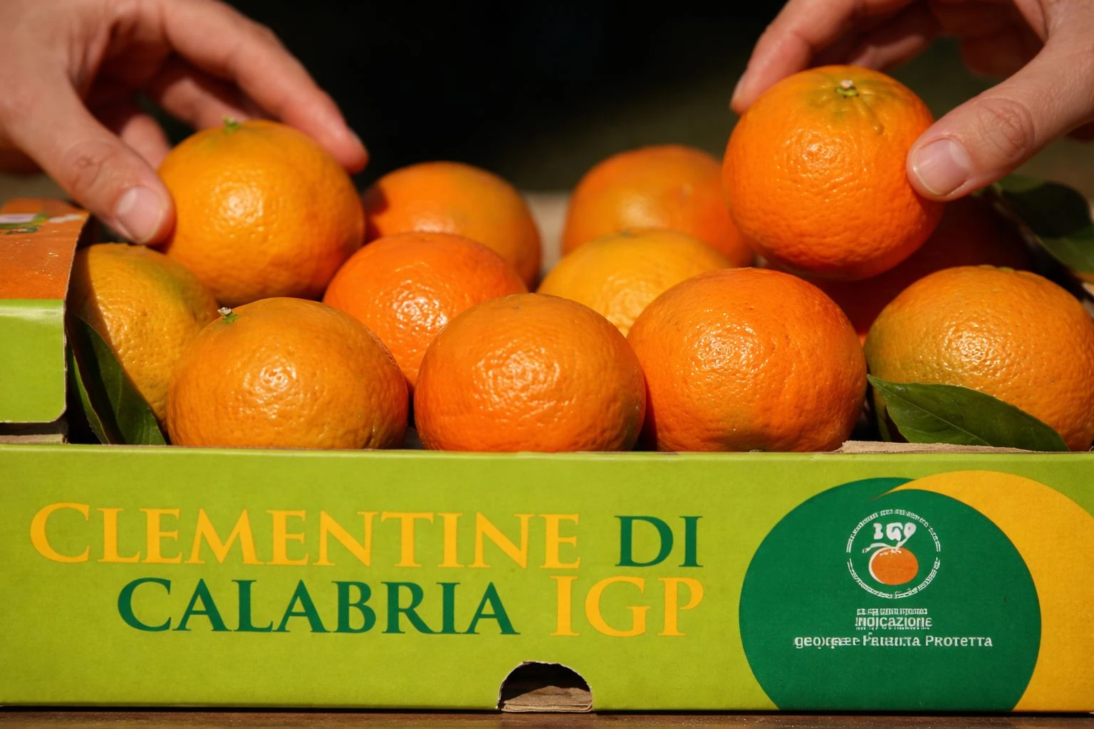 Agrumi esteri e residui vietati: il Consorzio Clementine di Calabria IGP lancia l'allarme 