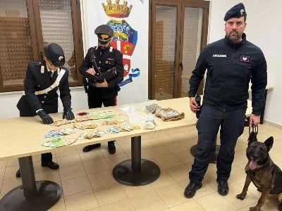 Droga nascosta in casa e in un terreno: un arresto nel Reggino 