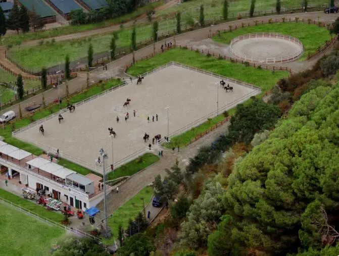 Catanzaro, torna la grande equitazione: al Centro ippico "Valle dei Mulini" i "Giovani cavalli" images Catanzaro, torna la grande equitazione: al Centro ippico "Valle dei Mulini" i "Giovani cavalli"