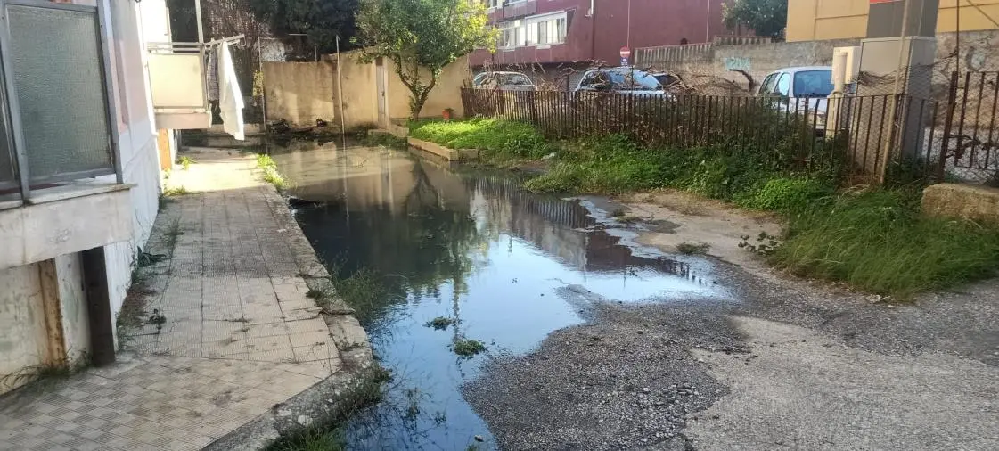 images Catanzaro, fogna a cielo aperto nel quartiere Santa Maria: in via della Resistenza degrado e abbandono
