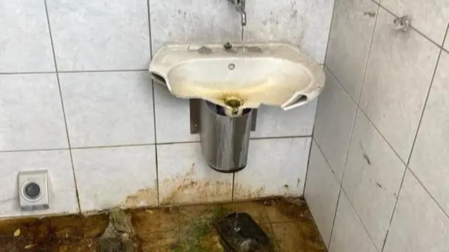 Catanzaro, Costa: "Si ripristini il bagno per disabili a Santo Janni" images Catanzaro, Costa: "Si ripristini il bagno per disabili a Santo Janni"