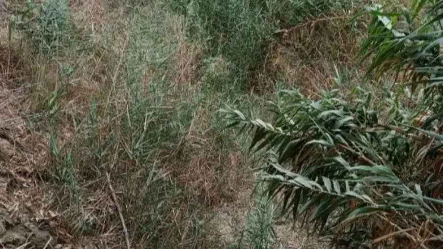 images Canaloni di raccolta delle acque meteoriche a Catanzaro, i dubbi di Riccio sulla manutenzione