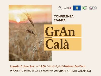Mulinum e Unical presentano il progetto di ricerca scientifica sui grani antichi calabresi images Mulinum e Unical presentano il progetto di ricerca scientifica sui grani antichi calabresi