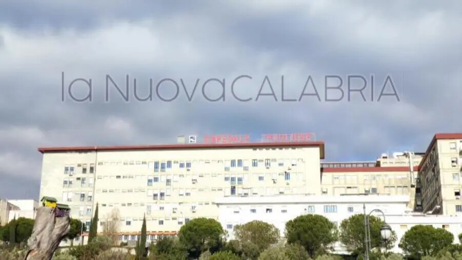 images Esiti biopsie ed esami istologici al 'Pugliese' di Catanzaro, la denuncia: "Inaccettabili tempi di attesa"