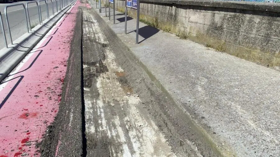 images Catanzaro, metà pista ciclabile in via Conti Falluc "cancellata", Costa: "Che sta succedendo?"