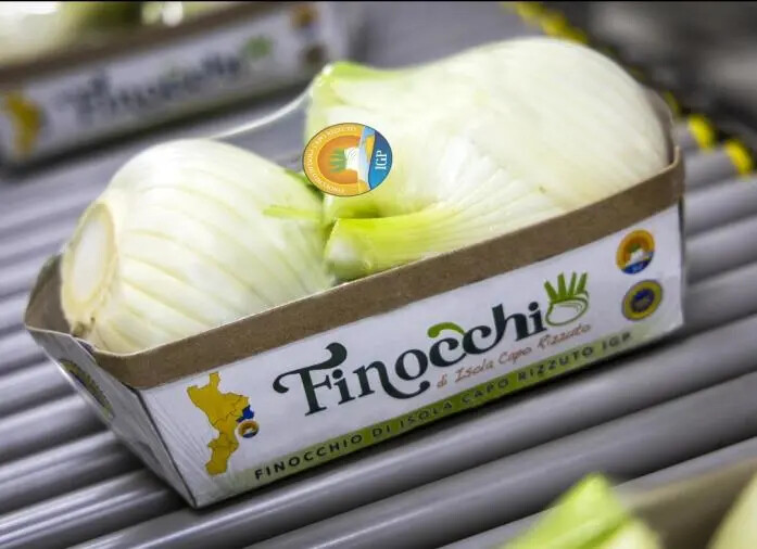 images Il Consorzio Finocchio IGP di Isola Capo Rizzuto tra i 5 consorzi di tutela accolti da Origin Italia