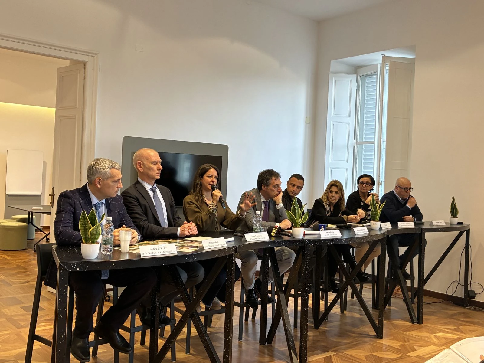 Nasce Catanzaro Tree Lab, il laboratorio urbano per tutelare il patrimonio arboreo della città