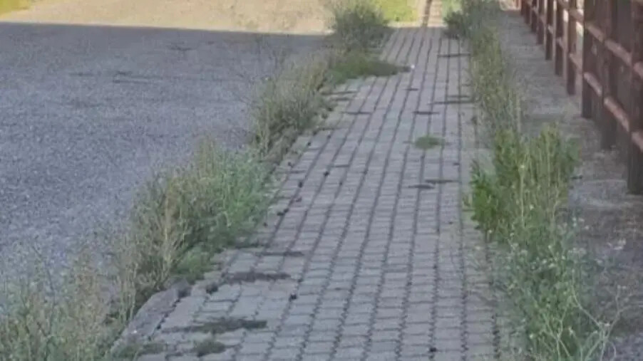 images Richiesta di intervento urgente per il quartiere Corvo, il presidente Corapi si appella al sindaco Fiorita
