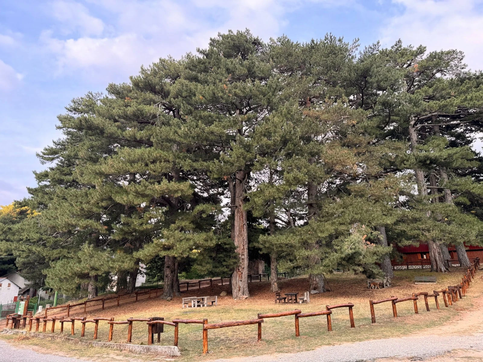 Petilia Policastro investe sul turismo e sull’area montana: al Villaggio Principe attivato il Wi Fi