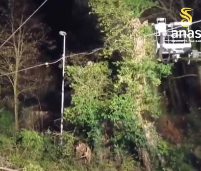 Chiaravalle, messa in sicurezza di alberi pericolanti lungo la Trasversale delle Serre