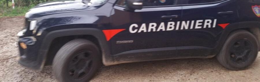 images Abbandona e brucia rifiuti in un'area protetta del Pollino, denunciato