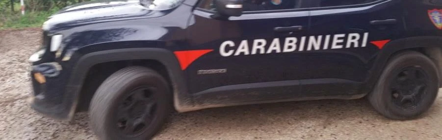 Abbandona e brucia rifiuti in un'area protetta del Pollino, denunciato