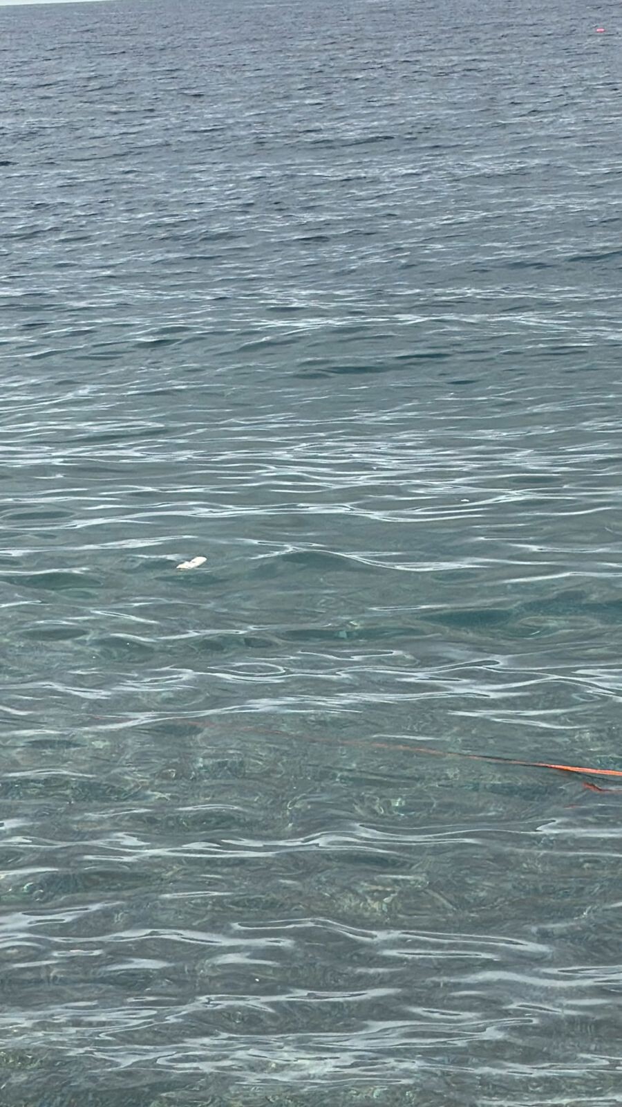 images Mare costantemente sporco nel quartiere marinaro, l'appello di un gruppo di cittadini al sindaco Fiorita 