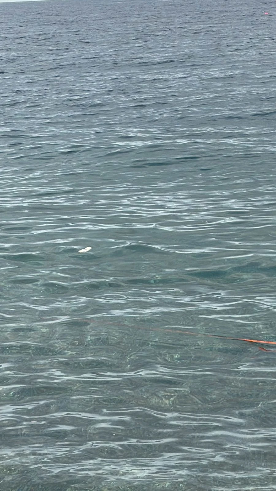 Mare costantemente sporco nel quartiere marinaro, l'appello di un gruppo di cittadini al sindaco Fiorita 