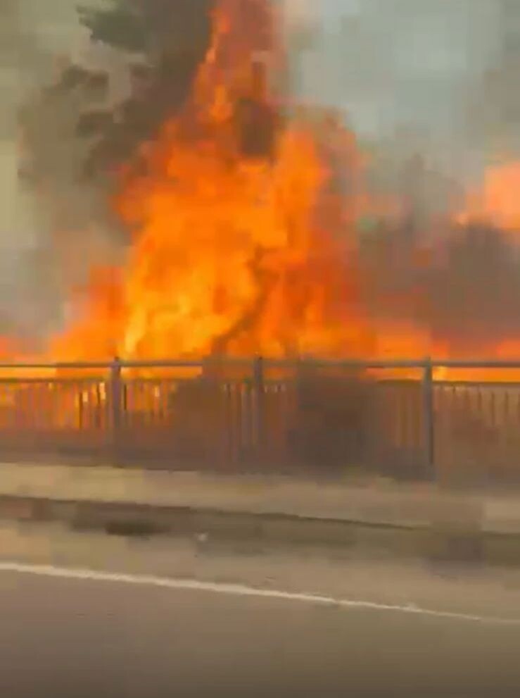 Catanzaro, vasto incendio nell’area del bivio Nalini images Catanzaro, vasto incendio nell’area del bivio Nalini