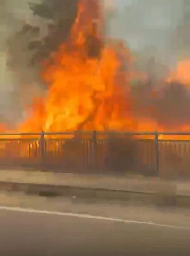 Catanzaro, vasto incendio nell’area del bivio Nalini 