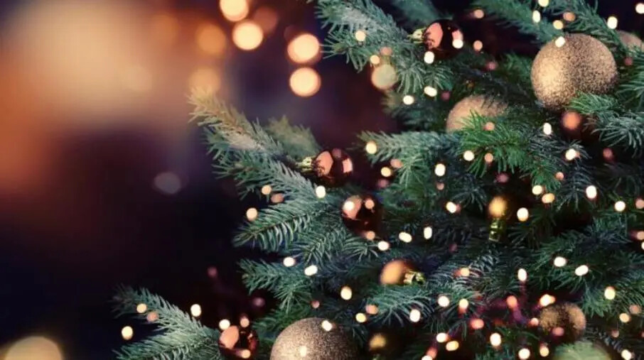 images Buon Natale 2024, per rinnovare l'inno alla vita e nel segno della pace nel mondo