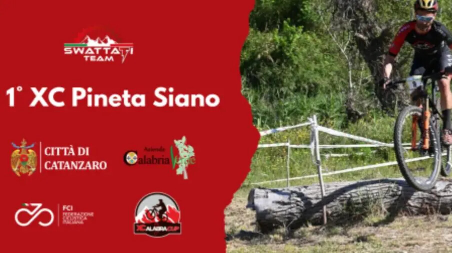 Catanzaro, I XC Pineta Siano: tappa conclusiva del Trofeo XCalabra images Catanzaro, I XC Pineta Siano: tappa conclusiva del Trofeo XCalabra