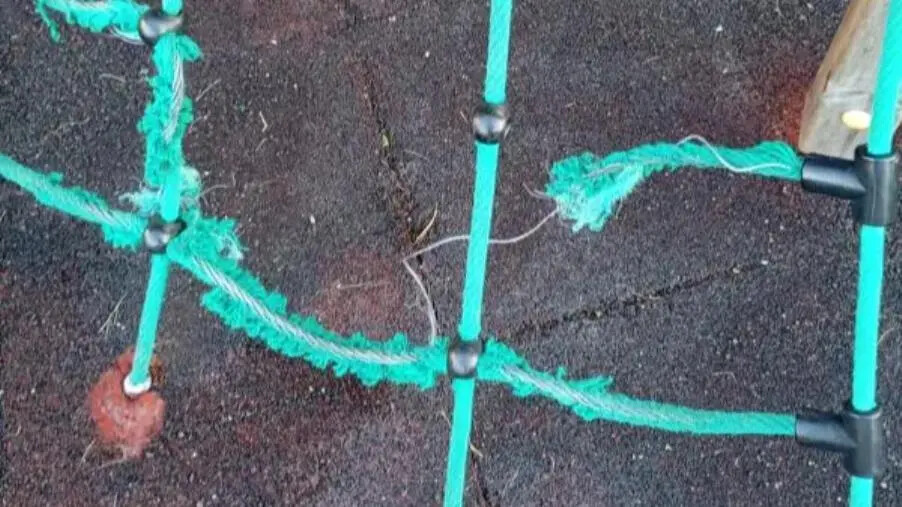 images Catanzaro, Silipo (CalabriaOltre): "Giochi fatiscenti al Parco Gaslini, almeno si rispettino i bimbi"