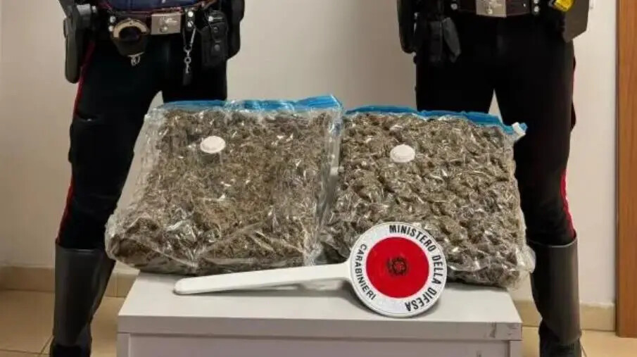 Gioia Tauro, fermato con due chili di marijuana in macchina: arrestato 60enne images Gioia Tauro, fermato con due chili di marijuana in macchina: arrestato 60enne