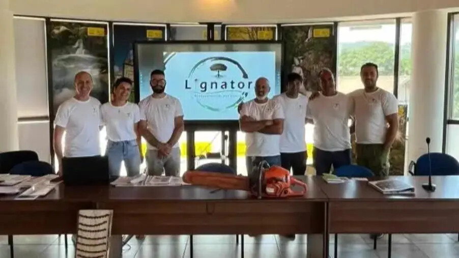 images A Chiaravalle Centrale formazione per le imprese boschive calabresi