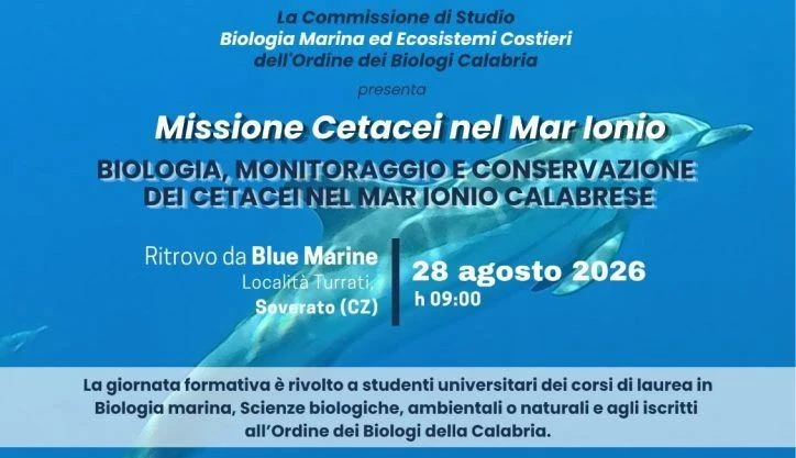 “Missione Cetacei”, a Soverato il mare diventa laboratorio per i biologi