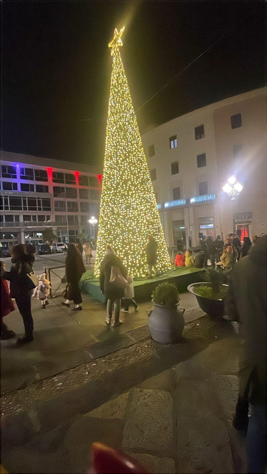 images Natale 2025 a Catanzaro, accese le luminarie su Corso Mazzini 