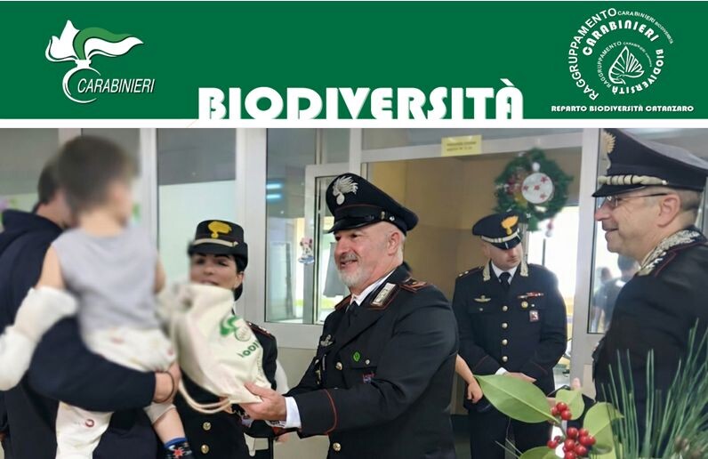 images Lamezia Terme, Epifania all'insegna della solidarietà con i Carabinieri Forestali nei reparti pediatrici 