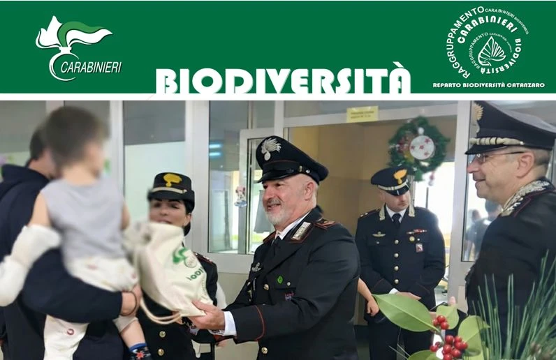 Lamezia Terme, Epifania all'insegna della solidarietà con i Carabinieri Forestali nei reparti pediatrici 