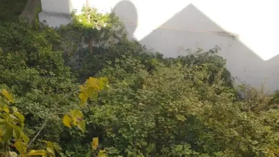 images Catanzaro, Veraldi sollecita interventi per l’ex scuola Maddalena: “Degrado non più tollerabile” 