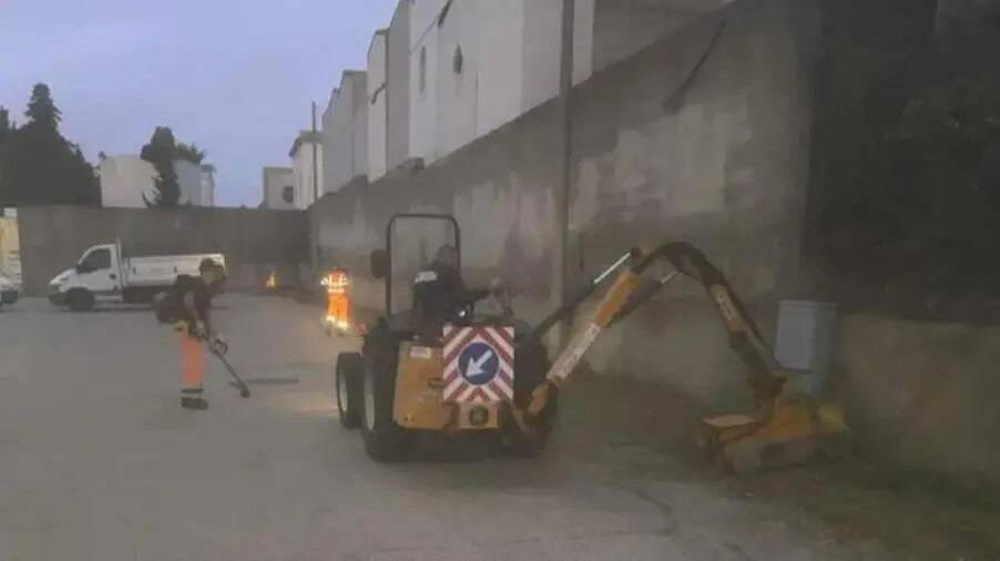 Catanzaro, Serò: "Avviati interventi di pulizia e di manutenzione del verde nei quattro cimiteri cittadini" images Catanzaro, Serò: "Avviati interventi di pulizia e di manutenzione del verde nei quattro cimiteri cittadini"