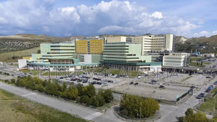 Straordinario intervento all'Aou Dulbecco di Catanzaro, salvata una giovane madre grazie all'Ecmo team  images Straordinario intervento all'Aou Dulbecco di Catanzaro, salvata una giovane madre grazie all'Ecmo team