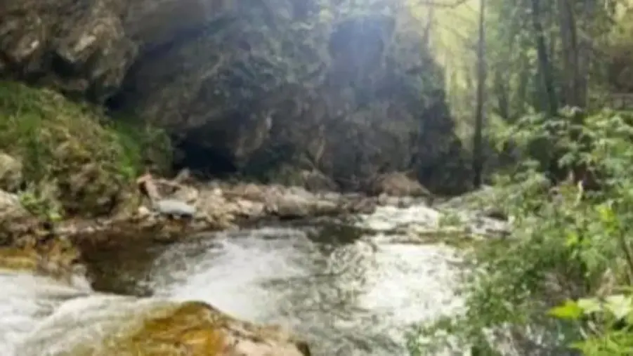 Le potenzialità del parco fluviale del Cardone nel Cosentino, idee e proposte images Le potenzialità del parco fluviale del Cardone nel Cosentino, idee e proposte
