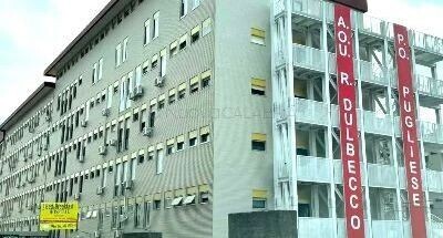 Elezioni Rls Dulbecco, bufera sul voto: il Sindacato Untia escluso e ricorso in arrivo images Elezioni Rls Dulbecco, bufera sul voto: il Sindacato Untia escluso e ricorso in arrivo