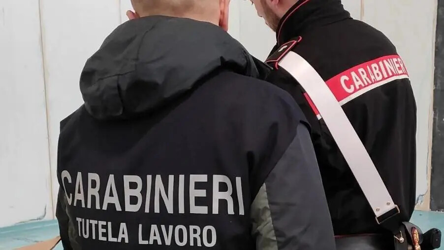 images Controlli dei Nas nel Crotonese: riscontrate irregolarità in una pizzeria 