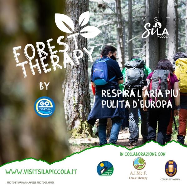 Sabato in Sila immersione forestale con l'iniziativa "Forest therapy by ego travel" images Sabato in Sila immersione forestale con l'iniziativa "Forest therapy by ego travel"