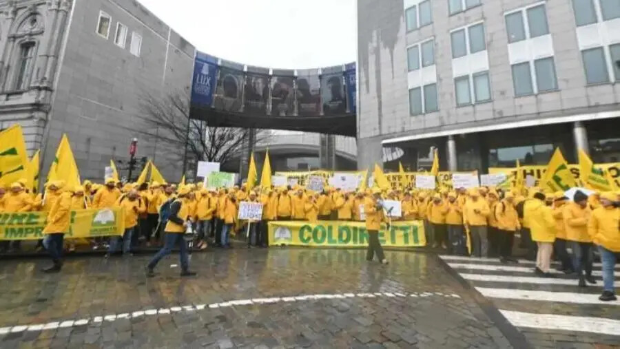 images Coldiretti Calabria a Bruxelles: "Risposte tempestive per stop burocrazia e misure urgenti per reddito alle imprese"