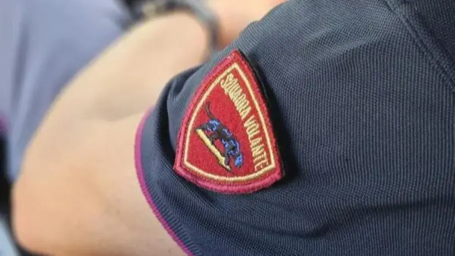 Reggio Calabria, rapina il cane e aggredisce il padrone: arrestato un 32enne images Reggio Calabria, rapina il cane e aggredisce il padrone: arrestato un 32enne