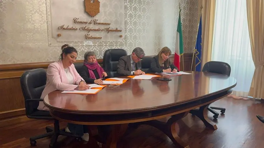 Catanzaro, donne vittime di violenza: firmato un protocollo alla Camera di commercio images Catanzaro, donne vittime di violenza: firmato un protocollo alla Camera di commercio
