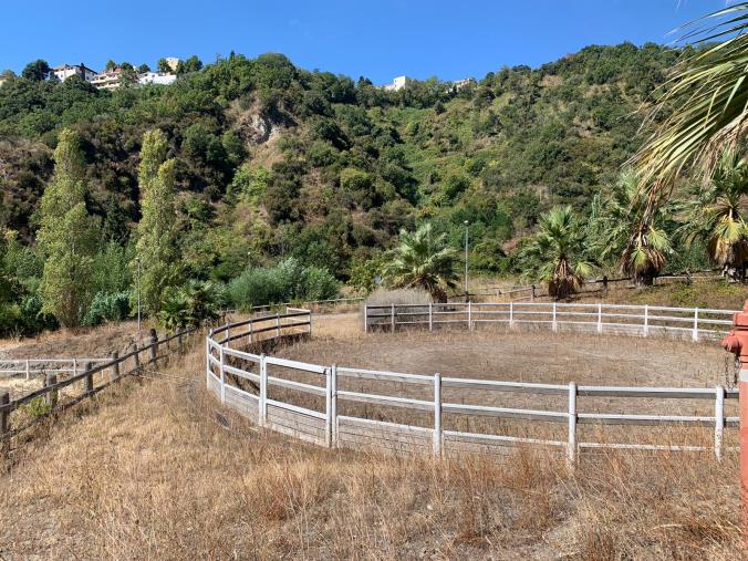 images Parco ippico, nuova grana alla Provincia di Catanzaro: impresa pronta a chiedere i danni
