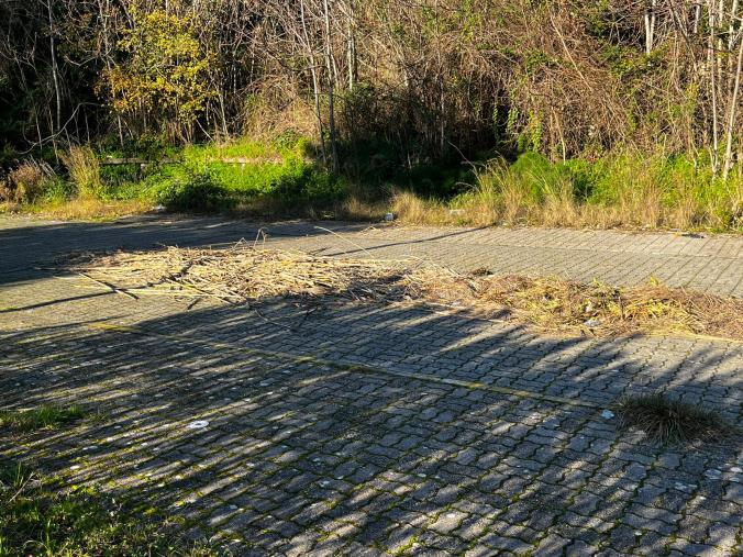 Catanzaro, l’indignazione di Veraldi e Sergi per le condizioni di degrado del piazzale antistante alla Funicolare images Catanzaro, l’indignazione di Veraldi e Sergi per le condizioni di degrado del piazzale antistante alla Funicolare