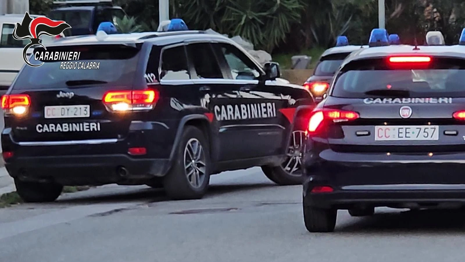 Controlli straordinari nel Reggino: 23 denunce 