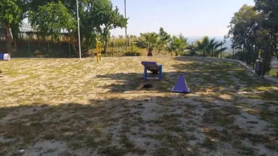 images A maggio nell’area dog del Parco della Biodiversità di Catanzaro la VII "Sfilata amatoriale canina" 