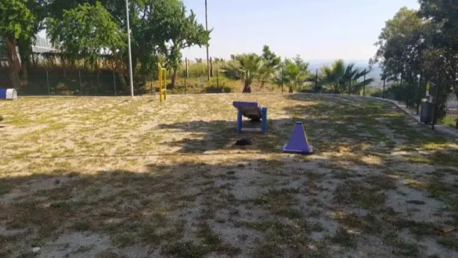 A maggio nell’area dog del Parco della Biodiversità di Catanzaro la VII "Sfilata amatoriale canina"  images A maggio nell’area dog del Parco della Biodiversità di Catanzaro la VII "Sfilata amatoriale canina"