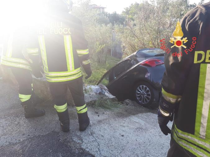 images Cagnolino lasciato in auto sotto il sole salvato dai vigili del fuoco