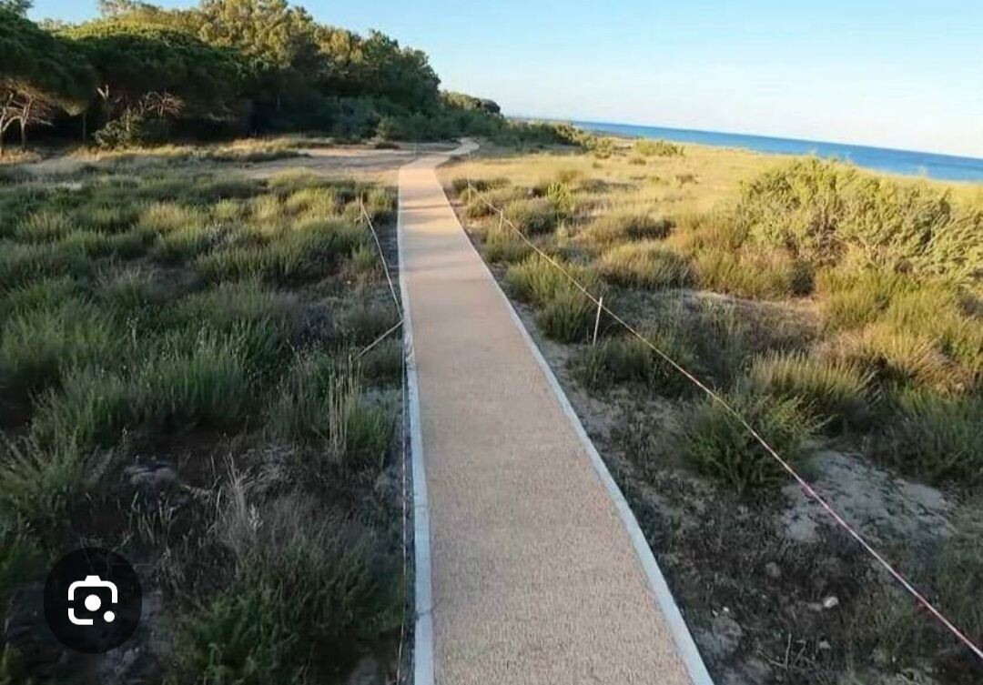 images Catanzaro, presentato il progetto Dune Aps, Riccio: "Ma dov'è il convitato di pietra, l'ecomostro che ha deturpato la riserva?"